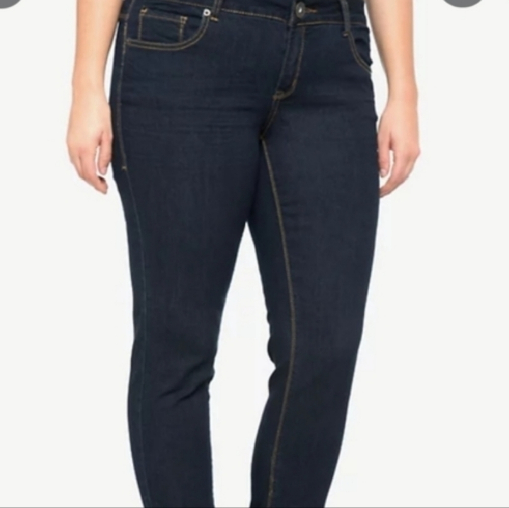 Torrid Vintage Skinny Jeans